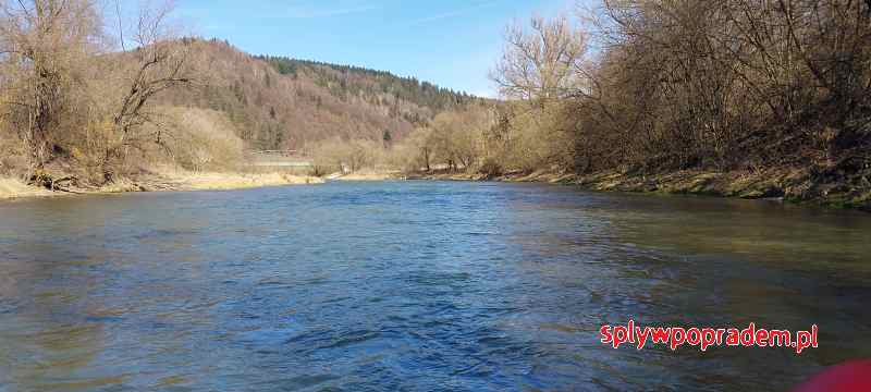 Widok na Poprad z pontonu