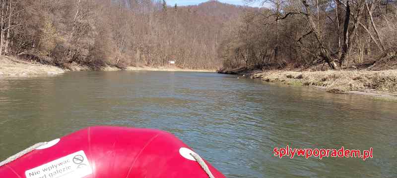 Koniec spływu Popradem na Łopacie Polskiej w Żegiestowie