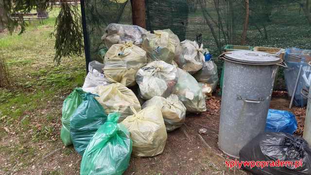 Śmiecie z brzegu Popradu pozbierane