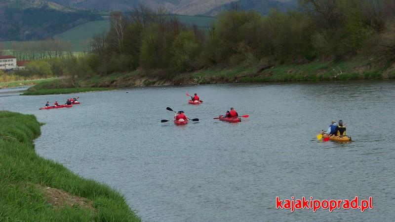 Kajakowy spływ ze Słowacji do Polski. Poprad rzeka graniczna.