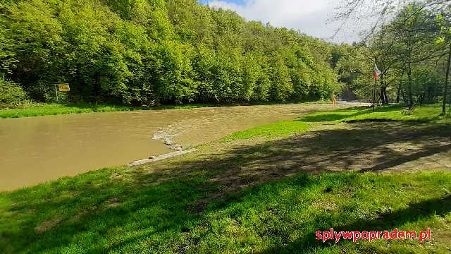 Żółta rzeka Poprad